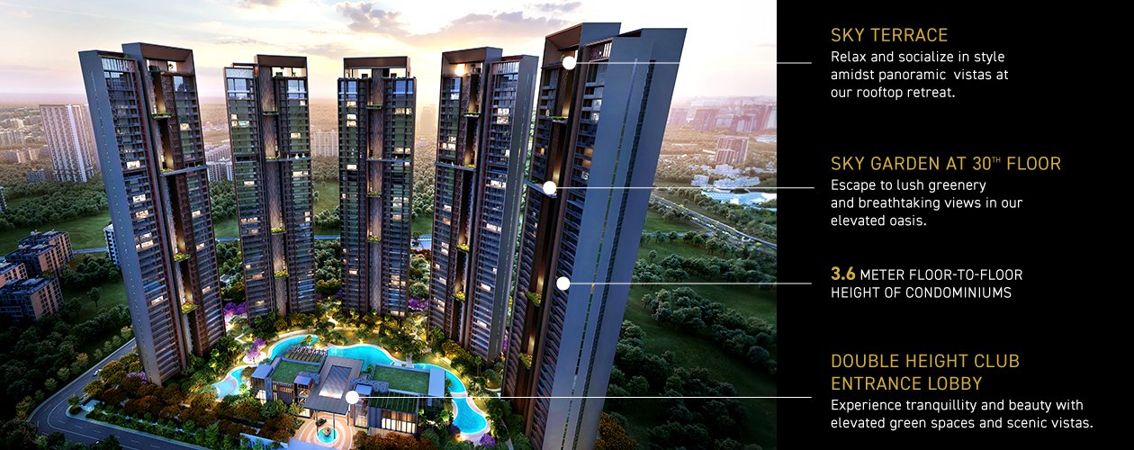 Sky Sanctuary 1